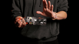 Coin Shot by Alex Latorre - Brown Bear Magic Shop