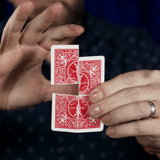 Corner Piece by Steve Langston & Sean Ridgeway - Brown Bear Magic Shop