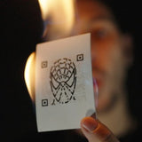 Flash Me by Les French Twins - Brown Bear Magic Shop