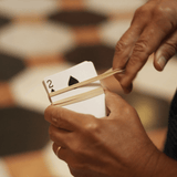 In Flight by David Regal - Brown Bear Magic Shop