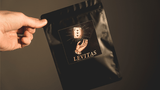 Levitas 2.0 by Jack Nobile and Piero Puddu - Brown Bear Magic Shop