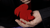 Magic Sponge Bunny Rabbit Set (Red) by Murphy's Magic - Brown Bear Magic Shop