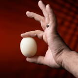 Magic Sponge Egg 4pk by Murphy's Magic - Brown Bear Magic Shop