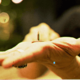 Nailed by Rich Marotta - Brown Bear Magic Shop