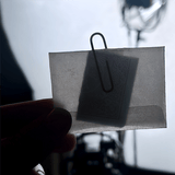 One Card by Daniel Garcia - Brown Bear Magic Shop