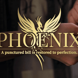 Phoenix by Higar and Hanson Chien (USD) - Brown Bear Magic Shop