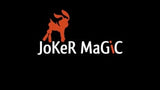 Credit Card Holder by Joker Magic