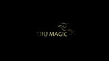 Lumiere By Agus Tjiu
