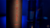 Rise by Sean Scott - Brown Bear Magic Shop