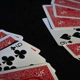 Synchronous by Javier Natera - Brown Bear Magic Shop