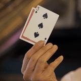 Together Forever by Steve Gore - Brown Bear Magic Shop