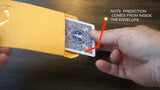 DP SWITCHING ENVELOPE by Paul Romhany - Brown Bear Magic Shop