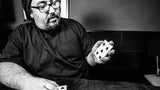 FREEDOM OF EXPRESSION by Dani DaOrtiz - Brown Bear Magic Shop