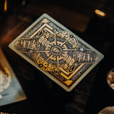 Piracy Playing Cards by Peter McKinnon & theory11 - Brown Bear Magic Shop