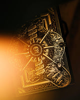 Piracy Playing Cards by Peter McKinnon & theory11 - Brown Bear Magic Shop