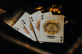 Piracy Playing Cards by Peter McKinnon & theory11 - Brown Bear Magic Shop