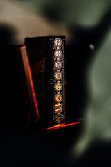 Piracy Playing Cards by Peter McKinnon & theory11 - Brown Bear Magic Shop