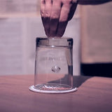 ROLLER COASTER BUDWEISER by Hanson Chien - Brown Bear Magic Shop