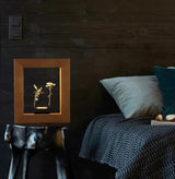 Slow Dance - Brown Bear Magic Shop