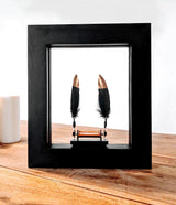 Slow Dance - Brown Bear Magic Shop