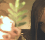 Slow Dance - Brown Bear Magic Shop