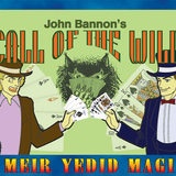 Call of the Wild by John Bannon - Brown Bear Magic Shop