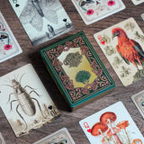 Dead Rebel Magic Explorers Club Cryptozoological Playing Card Set - Brown Bear Magic Shop