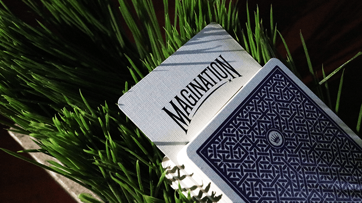 DMC Alphas V3 (Purple) Portcullis - Brown Bear Magic Shop