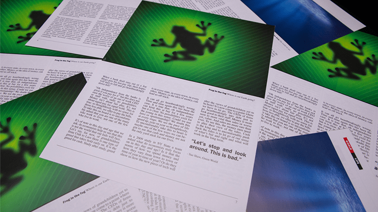 Don't Blink by Yvan Garmy - Brown Bear Magic Shop