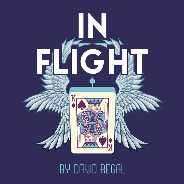In Flight by David Regal - Brown Bear Magic Shop