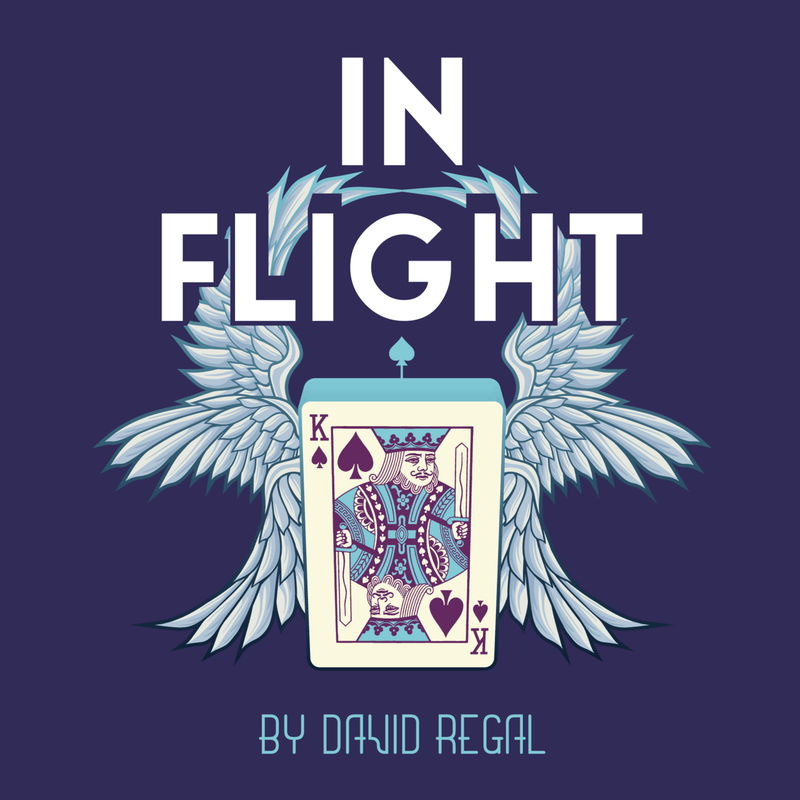 In Flight by David Regal - Brown Bear Magic Shop