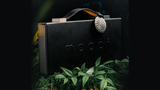Mooi Collector's Edition BOXSET by theory11 - Brown Bear Magic Shop