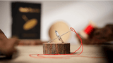 Needle Thru Coin by Nathan Kranzo and TCC Magic - Brown Bear Magic Shop