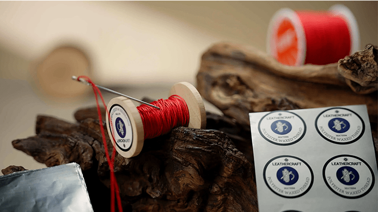 Needle Thru Coin by Nathan Kranzo and TCC Magic - Brown Bear Magic Shop