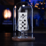 Parlor Rising Card by Murphy's Magic - Brown Bear Magic Shop