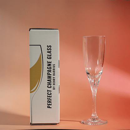 Perfect Champagne Glass by Henry Harrius - Brown Bear Magic Shop