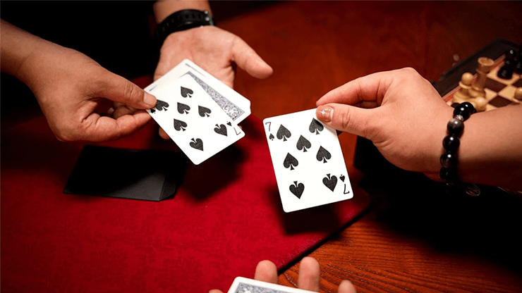 Pocket Miracle by Alex Zhan and TCC Magic - Brown Bear Magic Shop