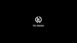 X Dice by TCC Magic