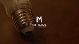 SHINE 3.0 by Bond Lee & MS Magic