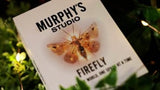 Firefly by Titanas