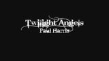 Twilight Angel by Paul Harris