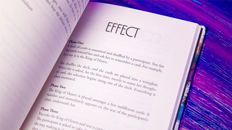 Principles of Destruction by Ben Seidman - Brown Bear Magic Shop