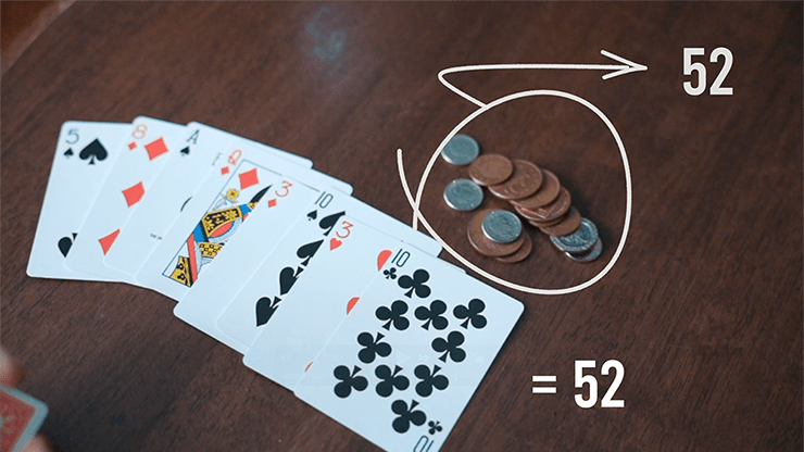Savant Deck by Craig Petty and Lloyd Barnes - Brown Bear Magic Shop
