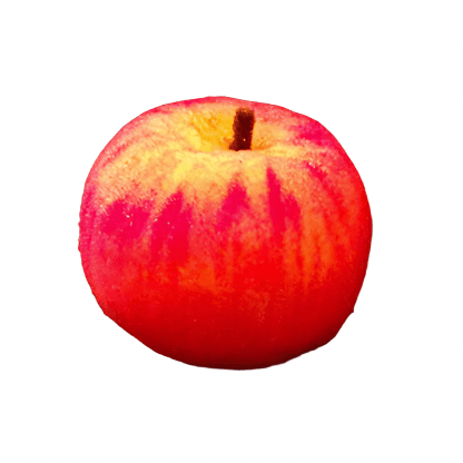 Sponge Apple by Alexander May - Brown Bear Magic Shop