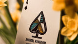 Animal Kingdom Playing Cards by theory11 - Brown Bear Magic Shop