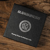 Audiokinesis by Hoang Doan Minh & Artisan Coin - Brown Bear Magic Shop