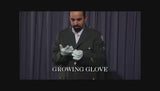 Growing Glove by Uday