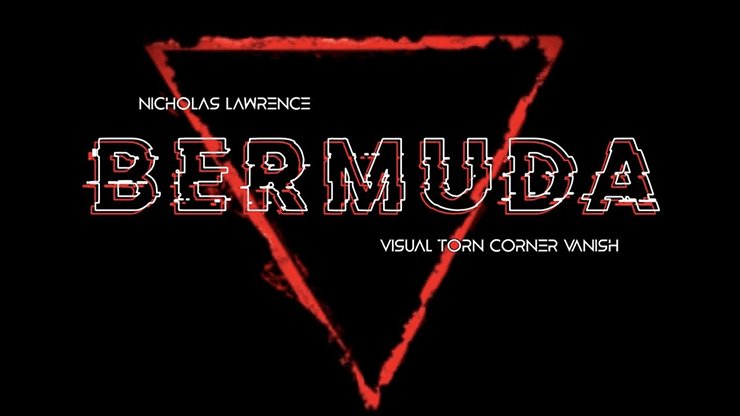 BERMUDA by Nicholas Lawrence - Brown Bear Magic Shop