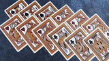 Bicycle Aurora Playing Cards by Collectable Playing Cards - Brown Bear Magic Shop
