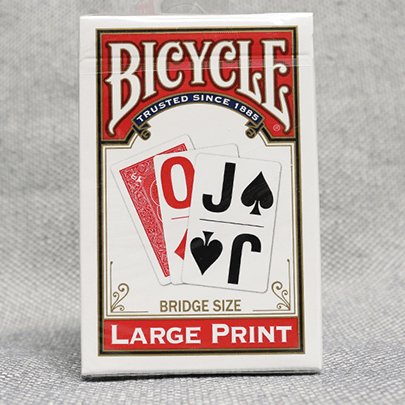 Bicycle Bridge Large Print by USPCC - Brown Bear Magic Shop